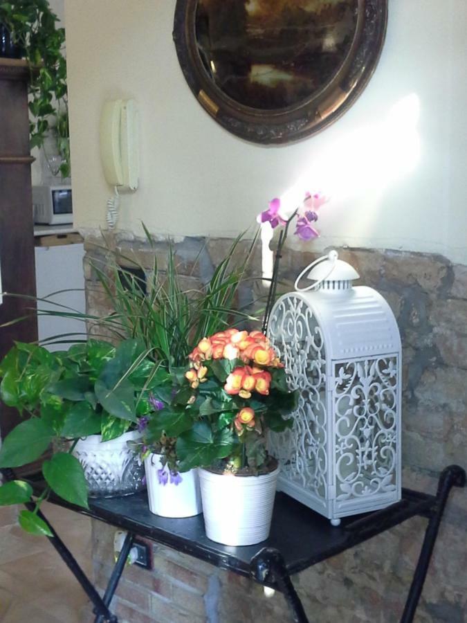 B&B Happiness In The Country Brescello Exteriör bild